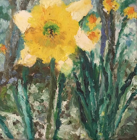 daffodil set - oil on canvas - 2019