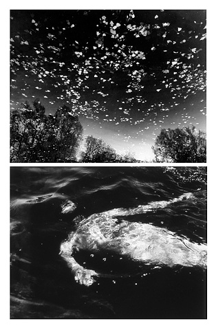 Two image landscape composite from B&W negatives
