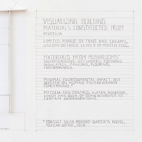 Visualizing Building Materials Constructed from Mycelia (detail)