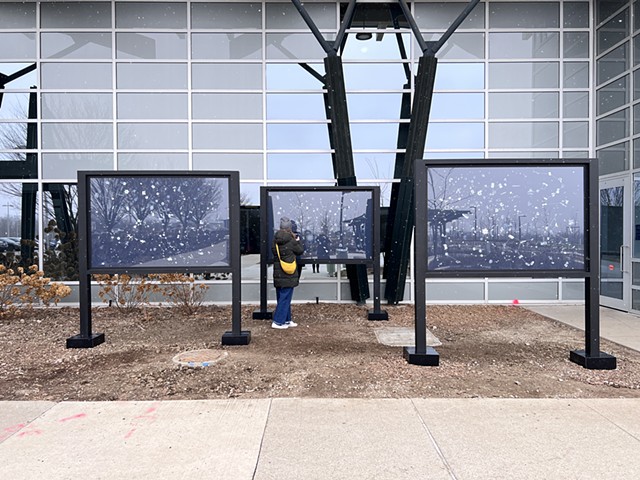 Finding Home - Installation View