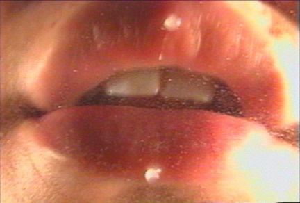 Video Still: Screen Kiss (No Live Girls), 1999