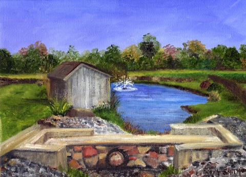 Arbor Meadow Pond
(The Kelly Family Private Collection)