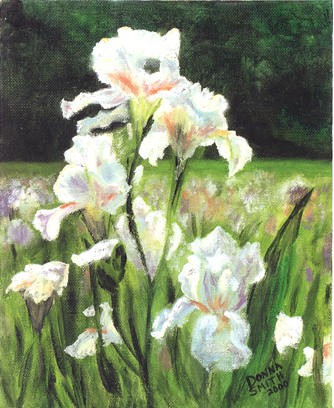 White Irises