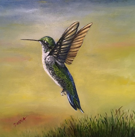 Hummingbird