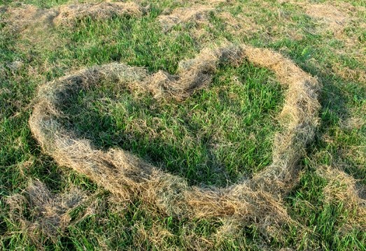 Hay Day Heart