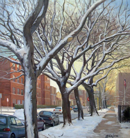 row of snow covered trees on urban street at dawn by Mary Phelan
