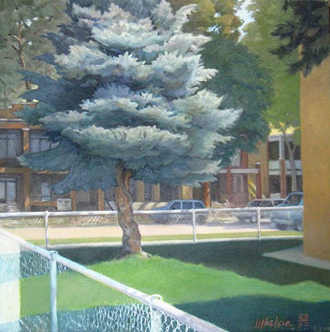 view of side yard with blue spruce