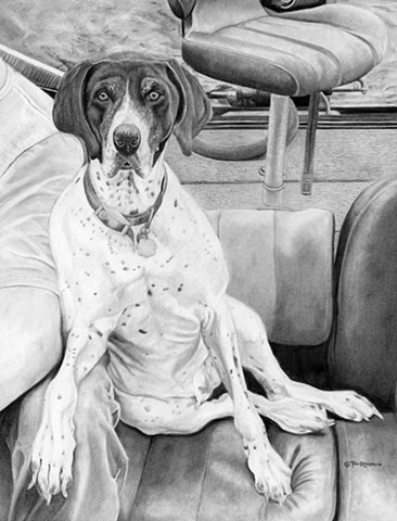 Pet Portraits