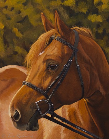 horse, horse portrait, equine art