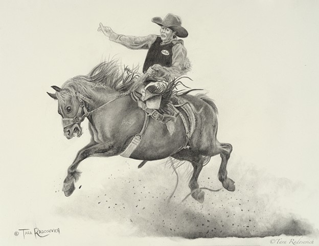 "Wild Carousel"