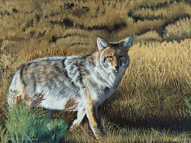 "Survivor" 