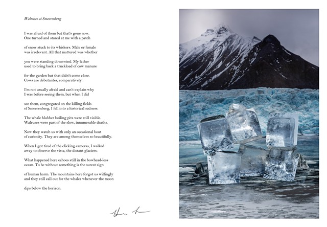 Language Erratics (photo + poem)