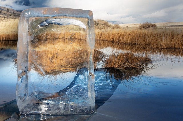 After "Arctic: Scenic Vista": your words came  to my doorstep just as my doorstep  appeared