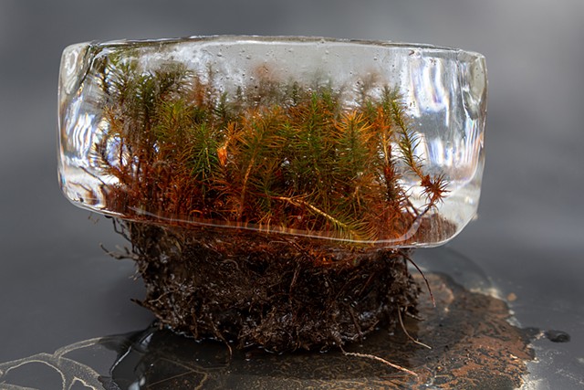 After "Arctic Lover": all the things we couldn't touch all the places we shouldn't step