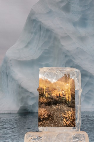 After "What if the Arctic Came Home with Me":  what if I know I can't go back.