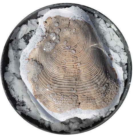 Jacinda Russell & Brent Cole, "When 'The Earth Swallowed the Sea' Meets a Subsidence Land Drop," 2025