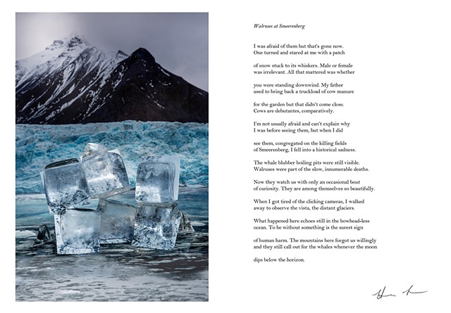Language Erratics (photo + poem by Hannah Larrabee)
