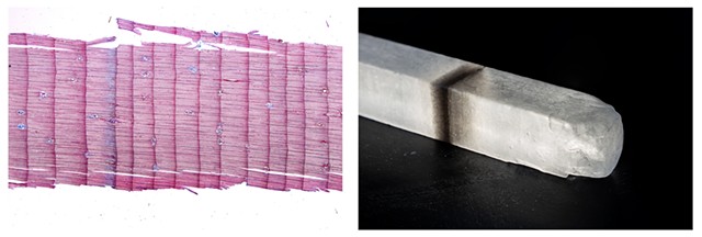 Jacinda Russell, "1628 BCE: Blue-Ring, Aniakchak II & 21,500 Years Ago: Unknown Volcano, Antarctica," 2025 - 2026