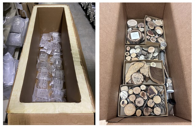 Jacinda Russell, "2022 CE: NSF-Ice Core Facility archive freezer (-36º C) & 2025 CE: Taxonomic Box, LTRR archive (24ºC)," 2022 / 2025