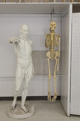 Anatomy Man and Skeleton, Boise State University
