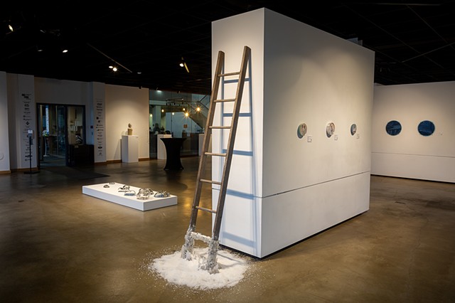 "Waning Elements" Installation, ArtLink Gallery, Fort Wayne, IN