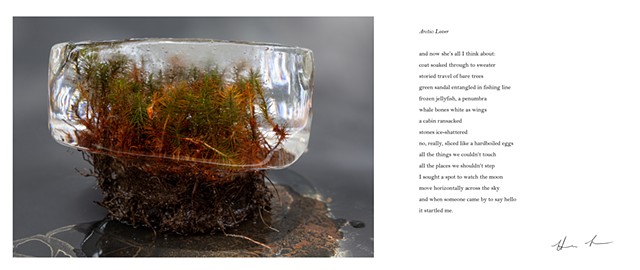 Language Erratics (photo + poem)