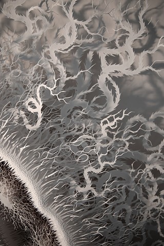 Cut Microbe Detail