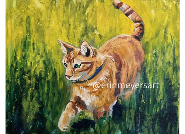 Frolicking Ginger Cat
