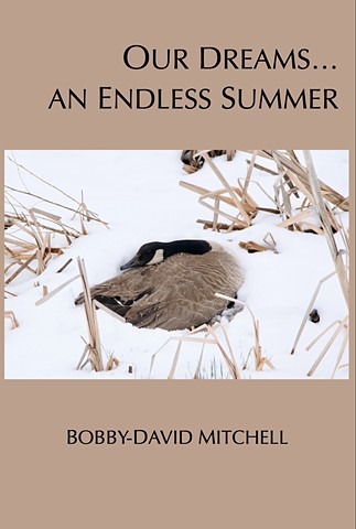 "Our Dreams...an Endless Summer" book cover