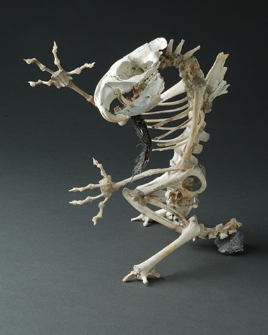 kevin vanek, Bones, Bone Art, Sculpture, Found object Sculpture