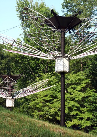 Bloom, Wither, Repeat