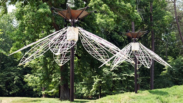 Bloom, Wither, Repeat