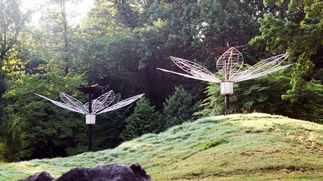 Bloom, Wither, Repeat