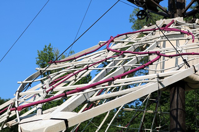 Bloom, Wither, Repeat