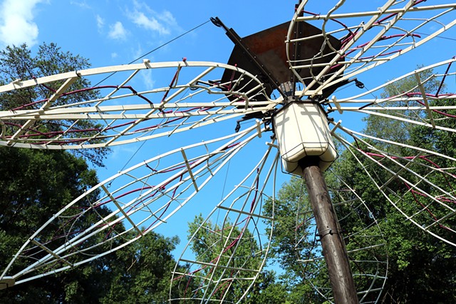 Bloom, Wither, Repeat