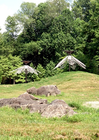 Bloom, Wither, Repeat