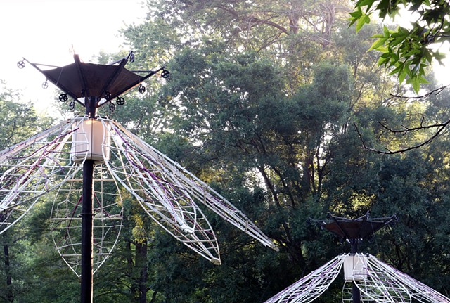 Bloom, Wither, Repeat