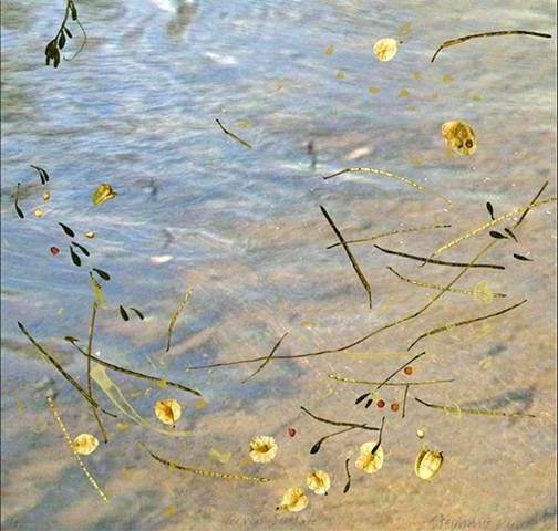 River surface