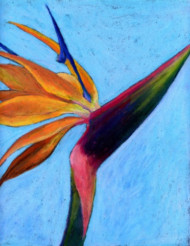  small artwork, pastel painting, tropical flower painting, hawaiian flower painting, artwork on paper