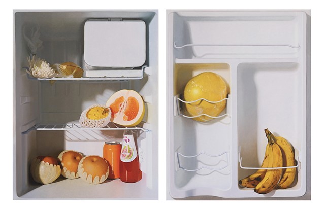 Refrigerators(Vanitas) (2020-2023)