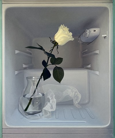 Flower Cooler with a White Rose