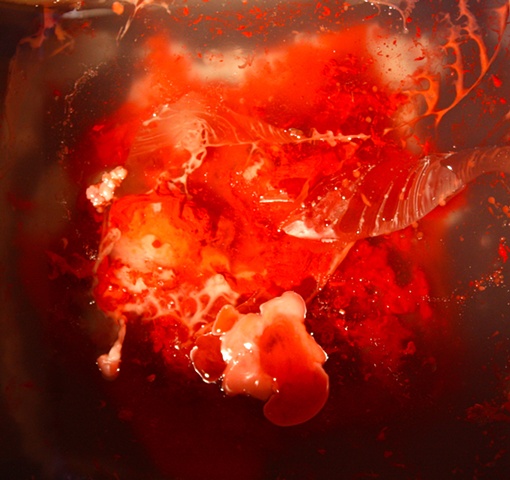 photograph, documentation, mixed media