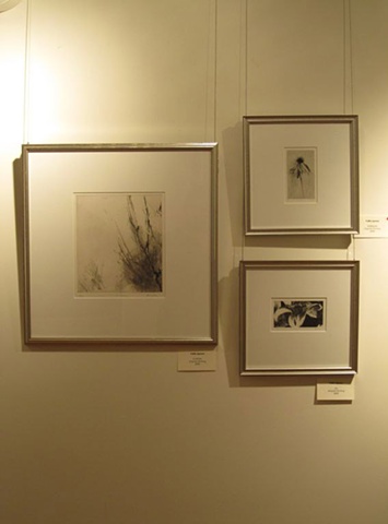 Prints at Mahler Gallery in Raleigh, NC