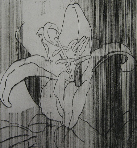 Lily of the Lines
