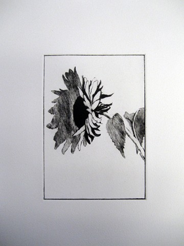 Intaglio Prints