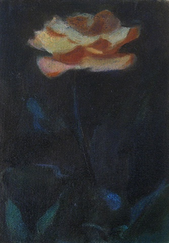 Night Bloomer