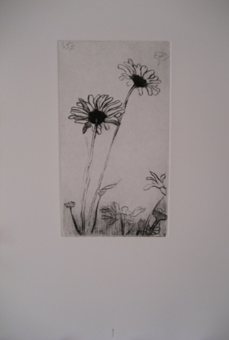 Jacob's Pillow Flowers proof #1  Drypoint 2.5 x 4.5