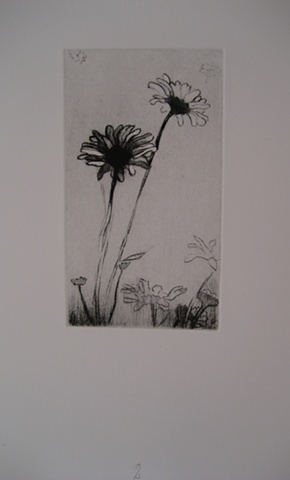 Jacob's Pillow Flowers proof #2  Drypoint 2.5 x 4.5

  