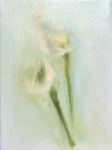 white calla's