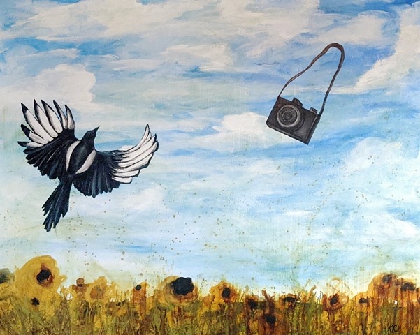 crow flying in the sky with camera falling